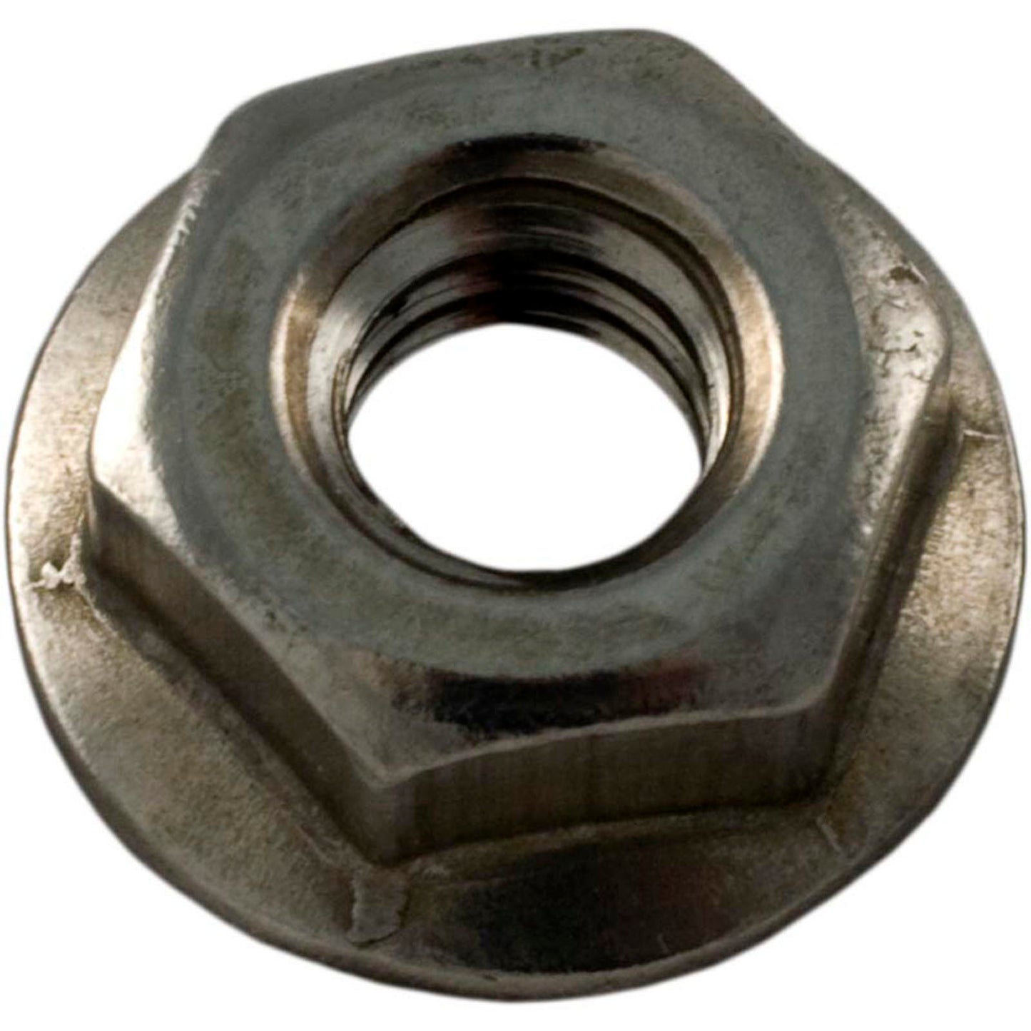 Nut, Pentair StaRite 1-1/2" Top/Side Mount Valve, 1/4"-20,SS