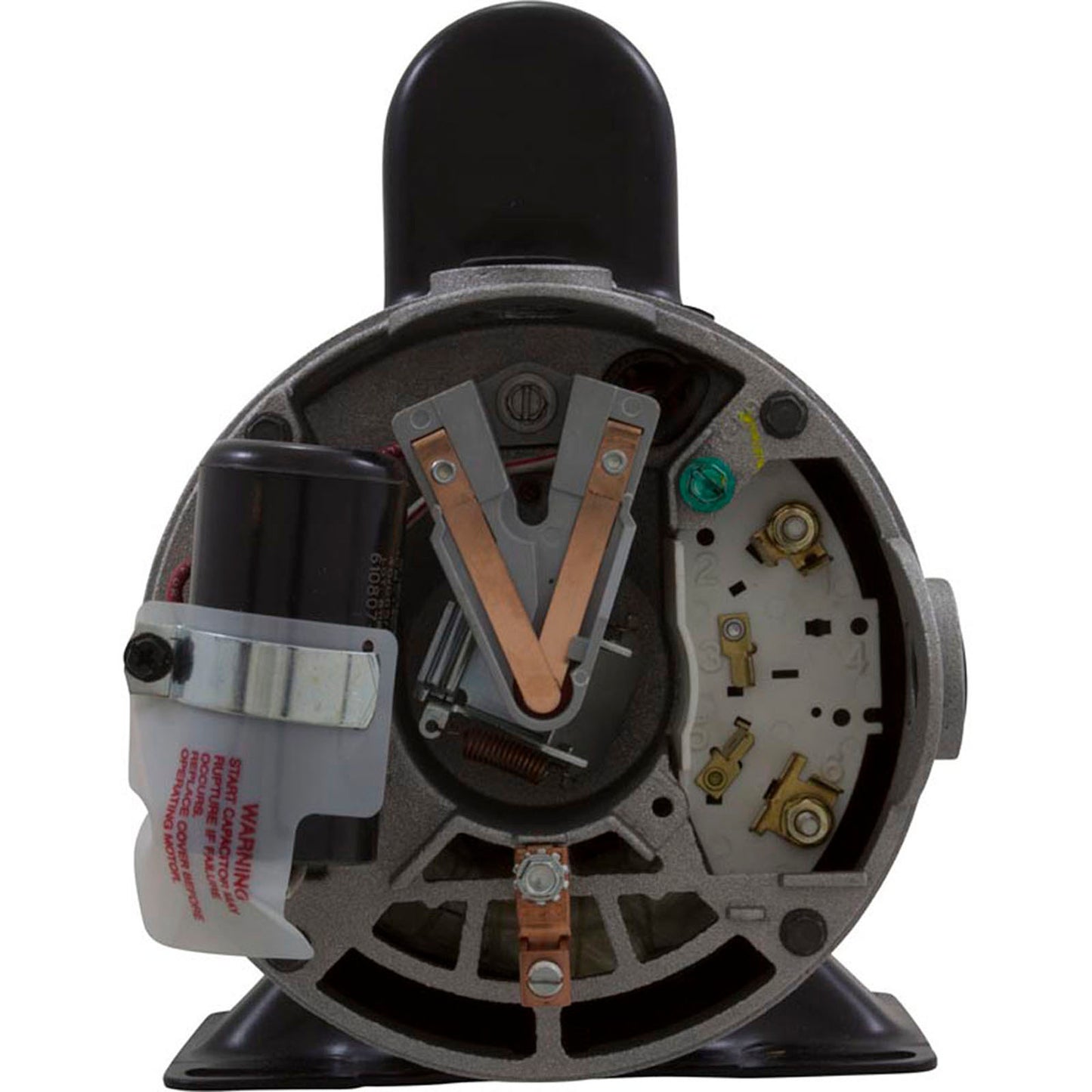 Pump, WW E-Series, 1.5hp Century, 115v, 2-Spd, 48fr, 1-1/2"