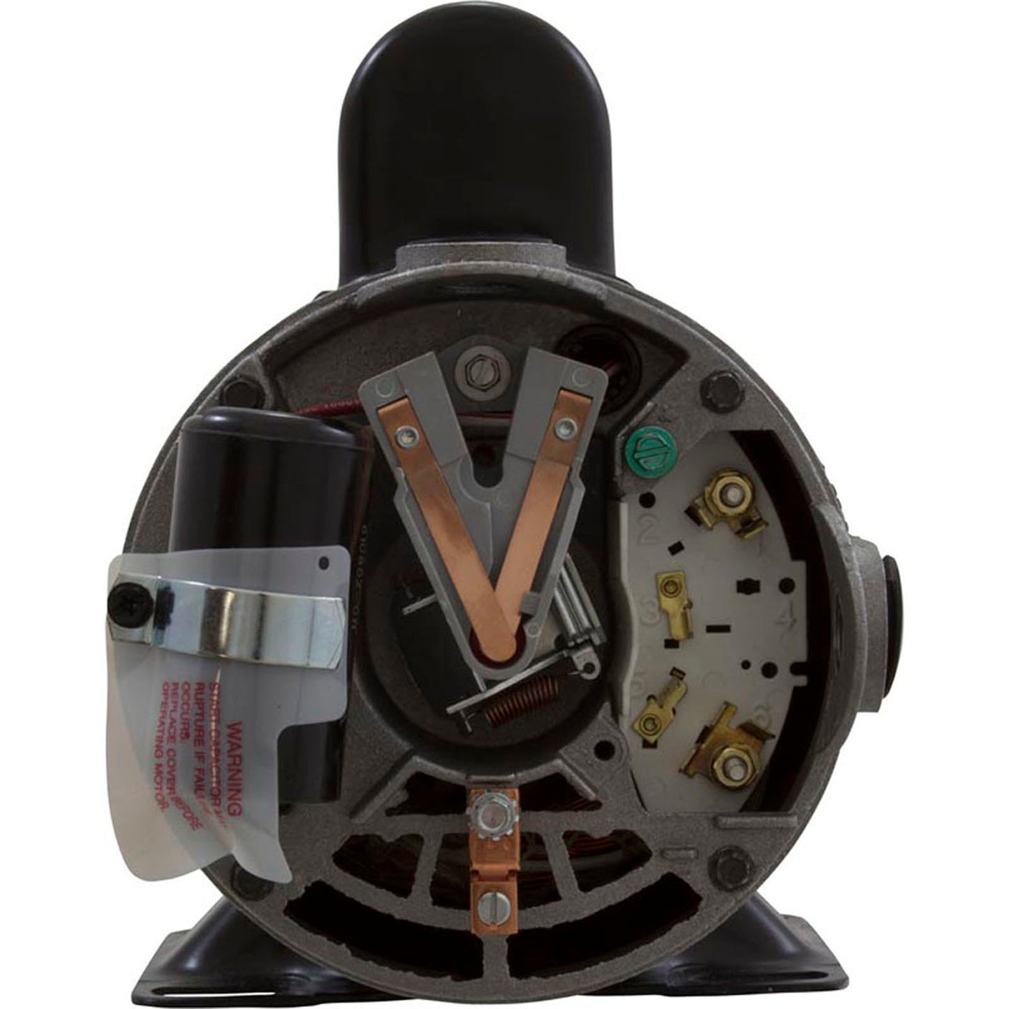 Pump, Aqua Flo TMCP, 1.5hp Century, 230v, 2-Spd, 48fr, 1-1/2"