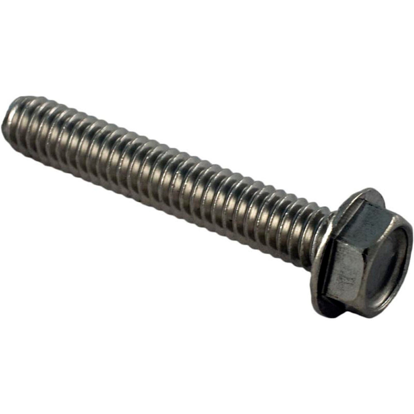 Screw, Pentair Sta-Rite DuraGlas, 8-32 x 1"