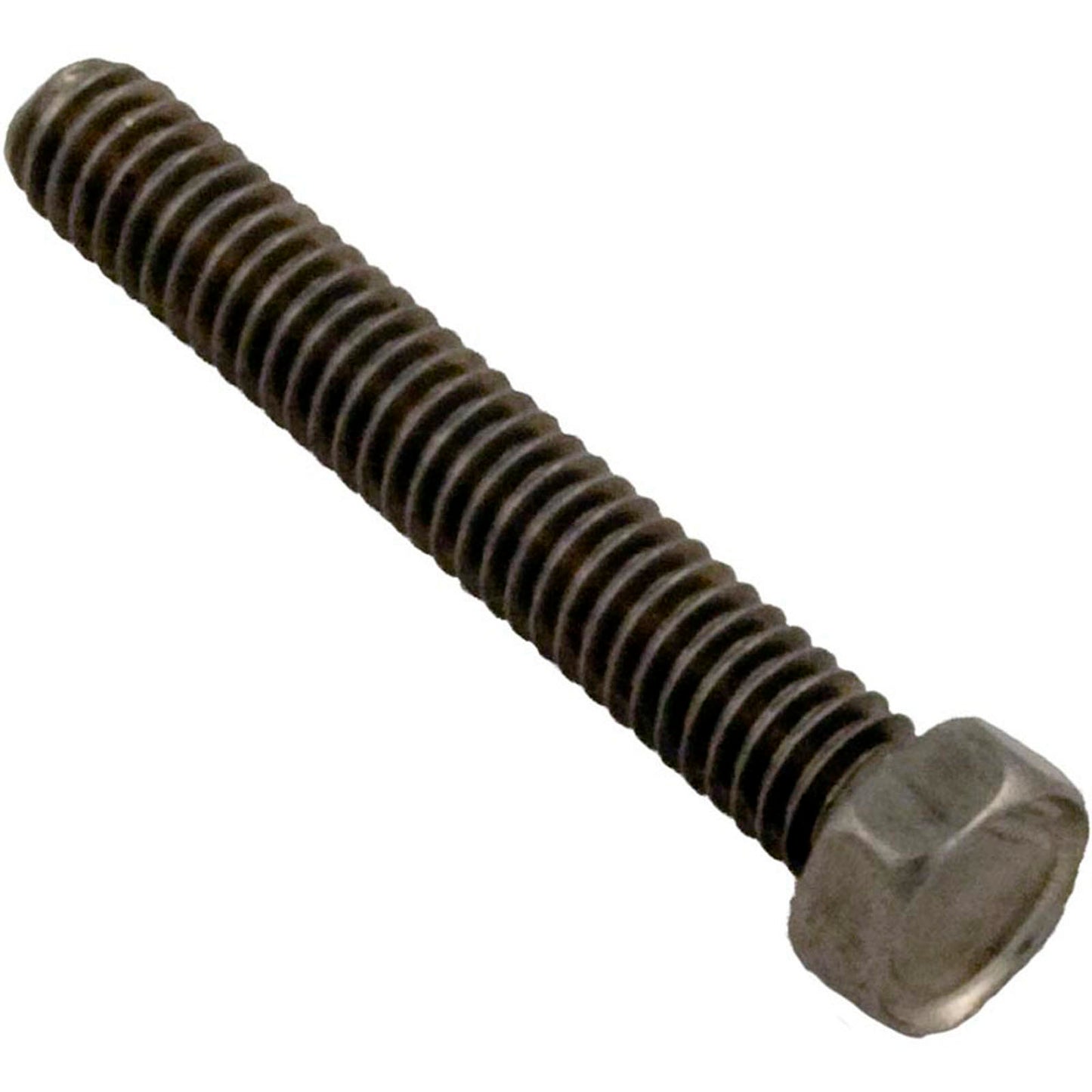 Screw, Pentair Sta-Rite DuraGlas II, IntelliPro, 8-32 x 1/4"