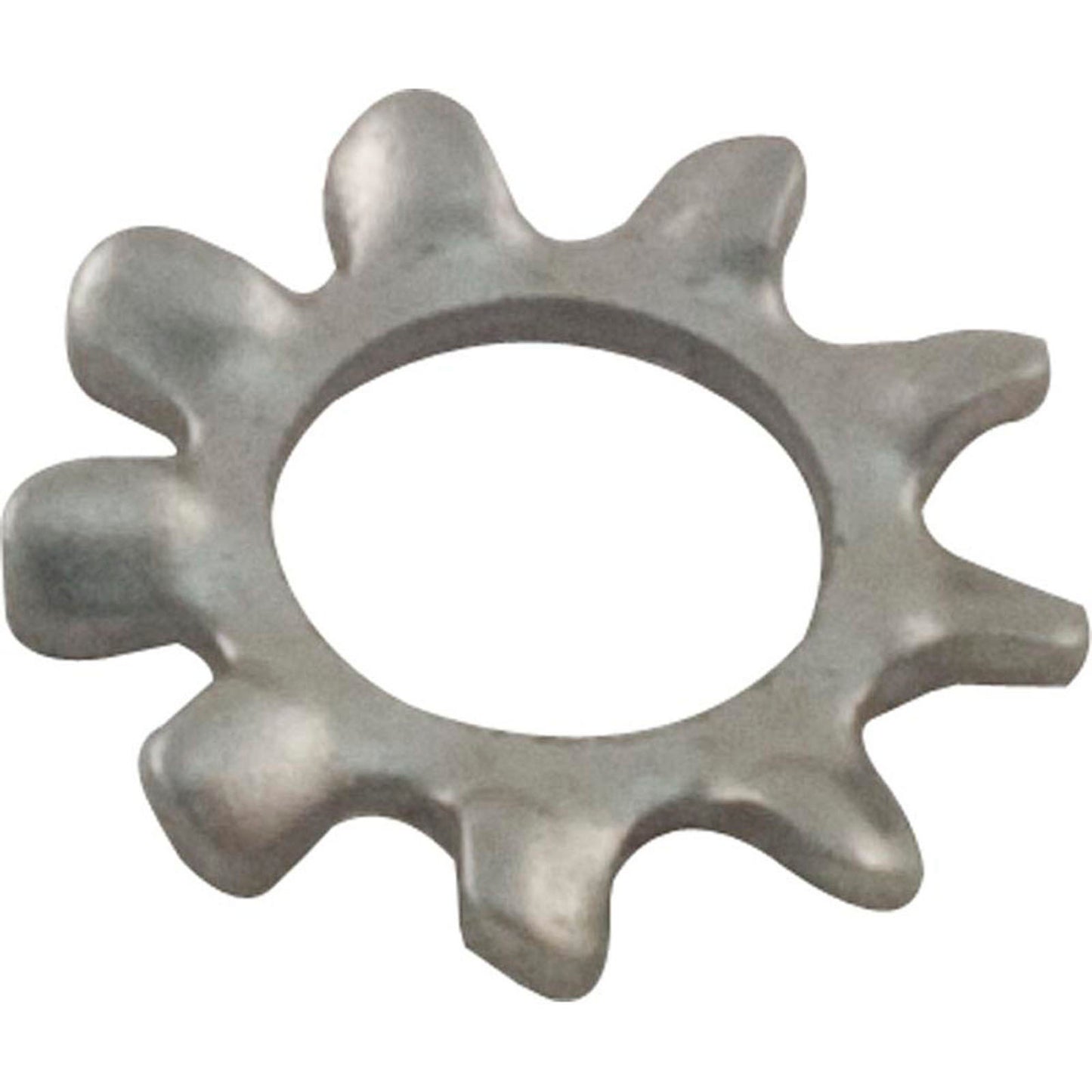 Lock Washer, Pentair Sta-Rite LT, #10