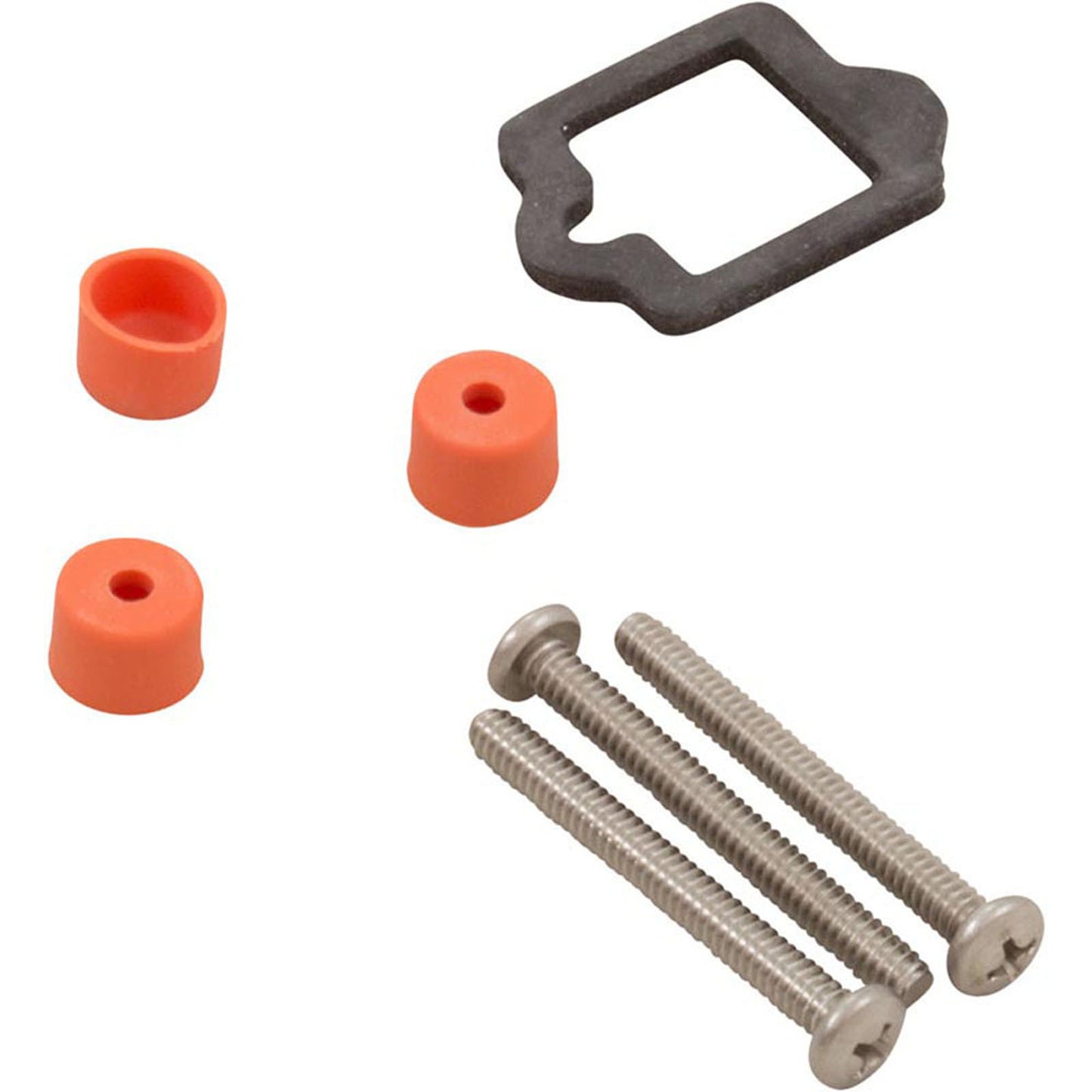 Drive Kit, Pentair IntelliFlo VS/i1/2VST, w/ Keypad