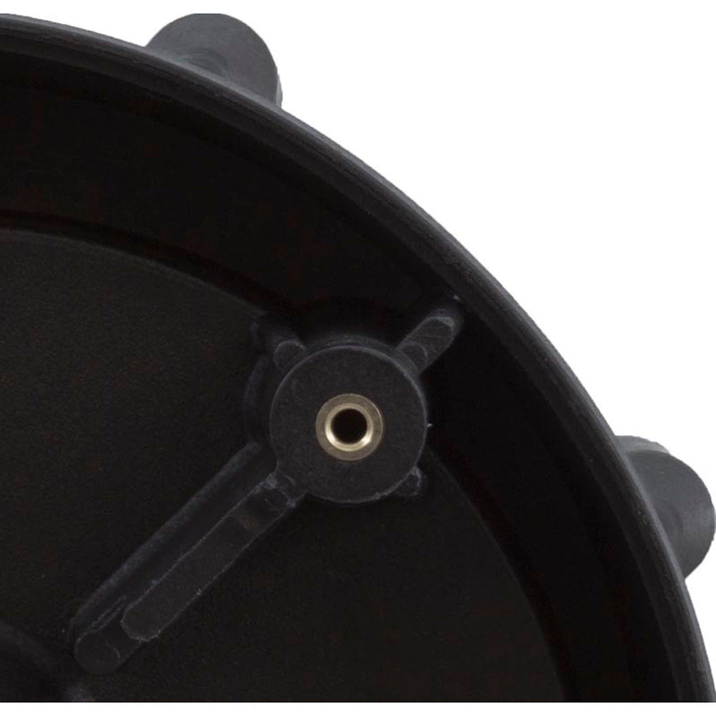 Voluta, vía fluvial suprema