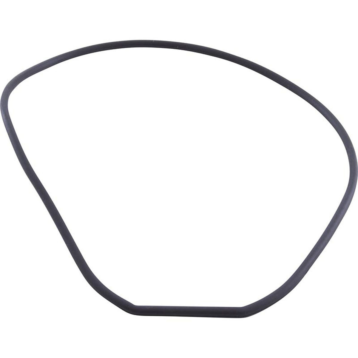 Gasket, Waterway SVL56, Seal Plate, Special