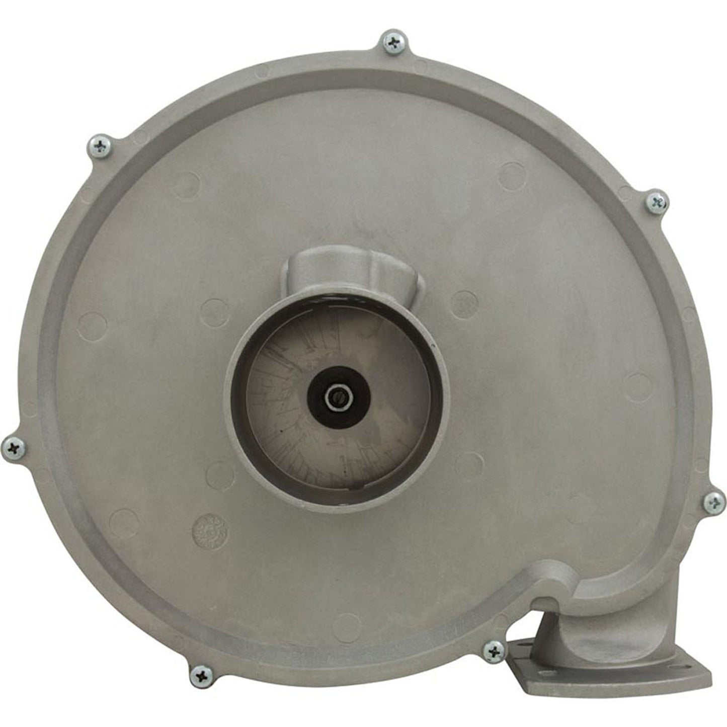 Blower Kit, Pentair MasterTemp 400/Max-E-Therm 400, Nat.