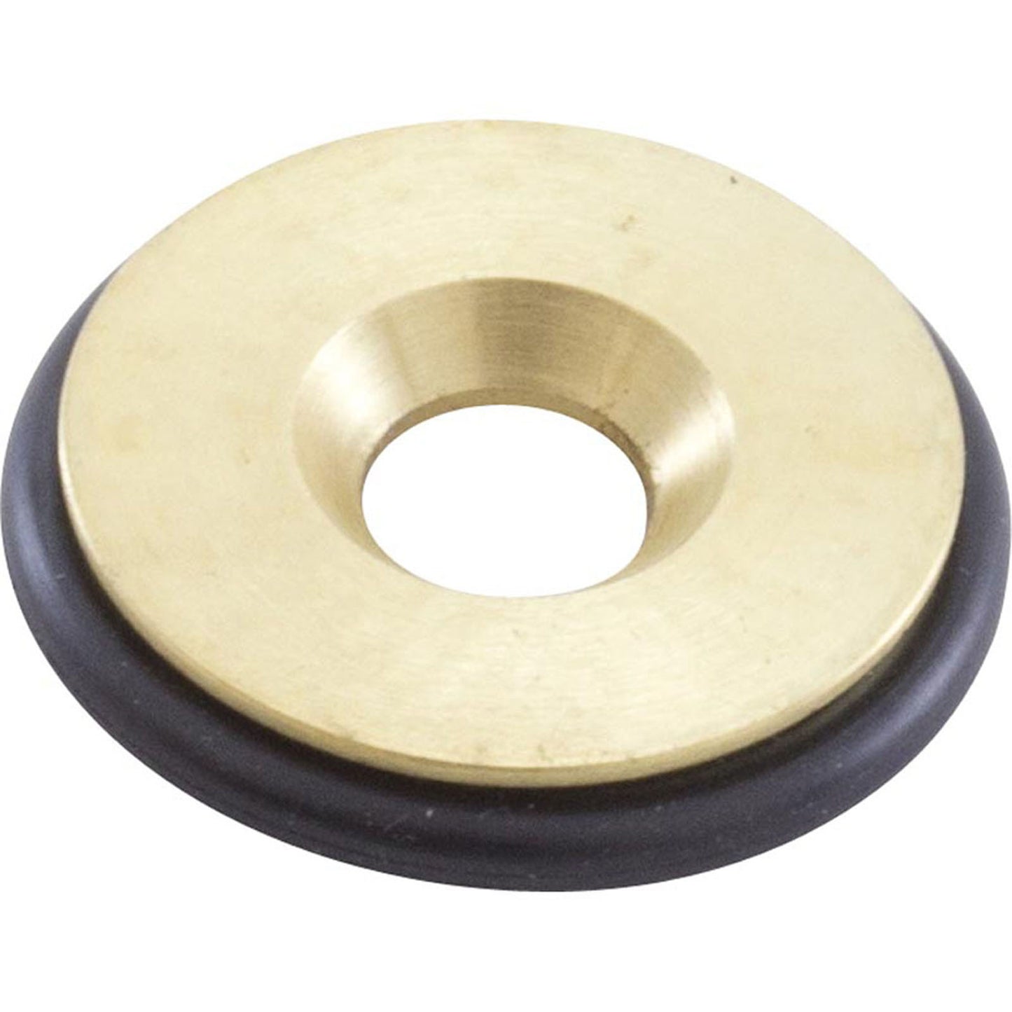 Orifice, Pentair MasterTemp 250, Nat.