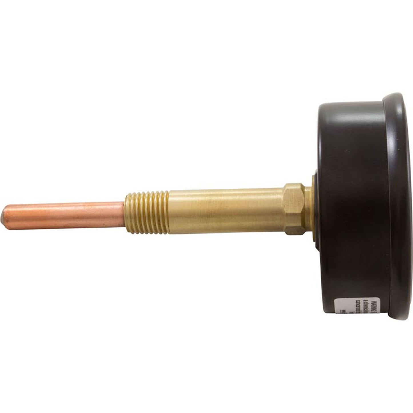 Manómetro de temperatura y presión, calentadores Raypak, 1/2", parte inferior