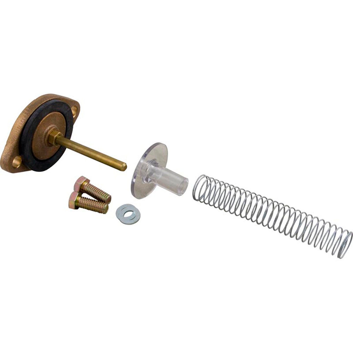 Bypass Assembly, Zodiac Jandy LRZE/LRZM 250