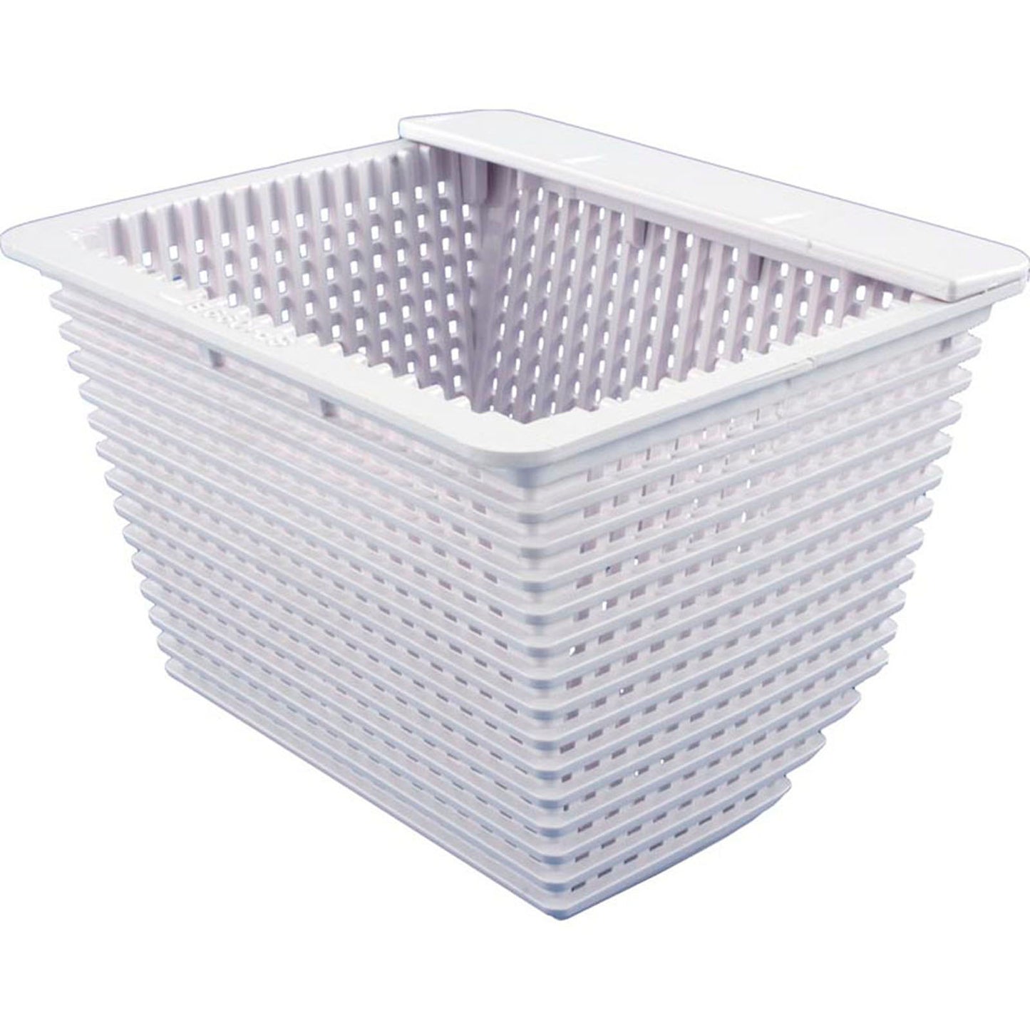 Basket, Skimmer, OEM Hayward SP1099