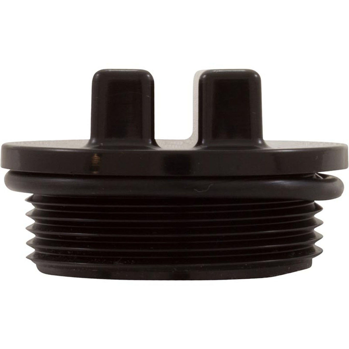 Plug, Hayward, w/O-Ring, 1-1/2" Thd, Black