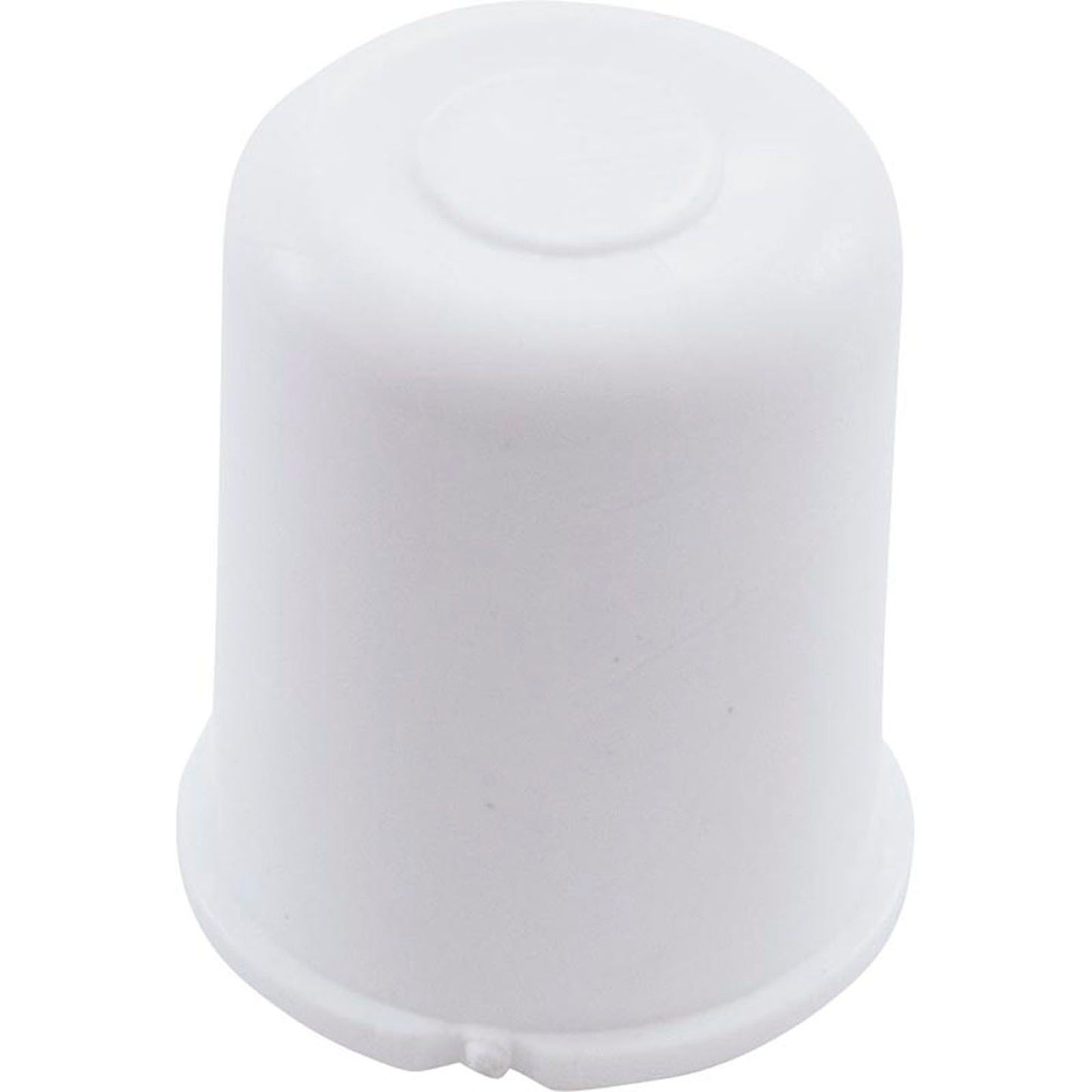 Plug, Lasco, 1/2" Slip