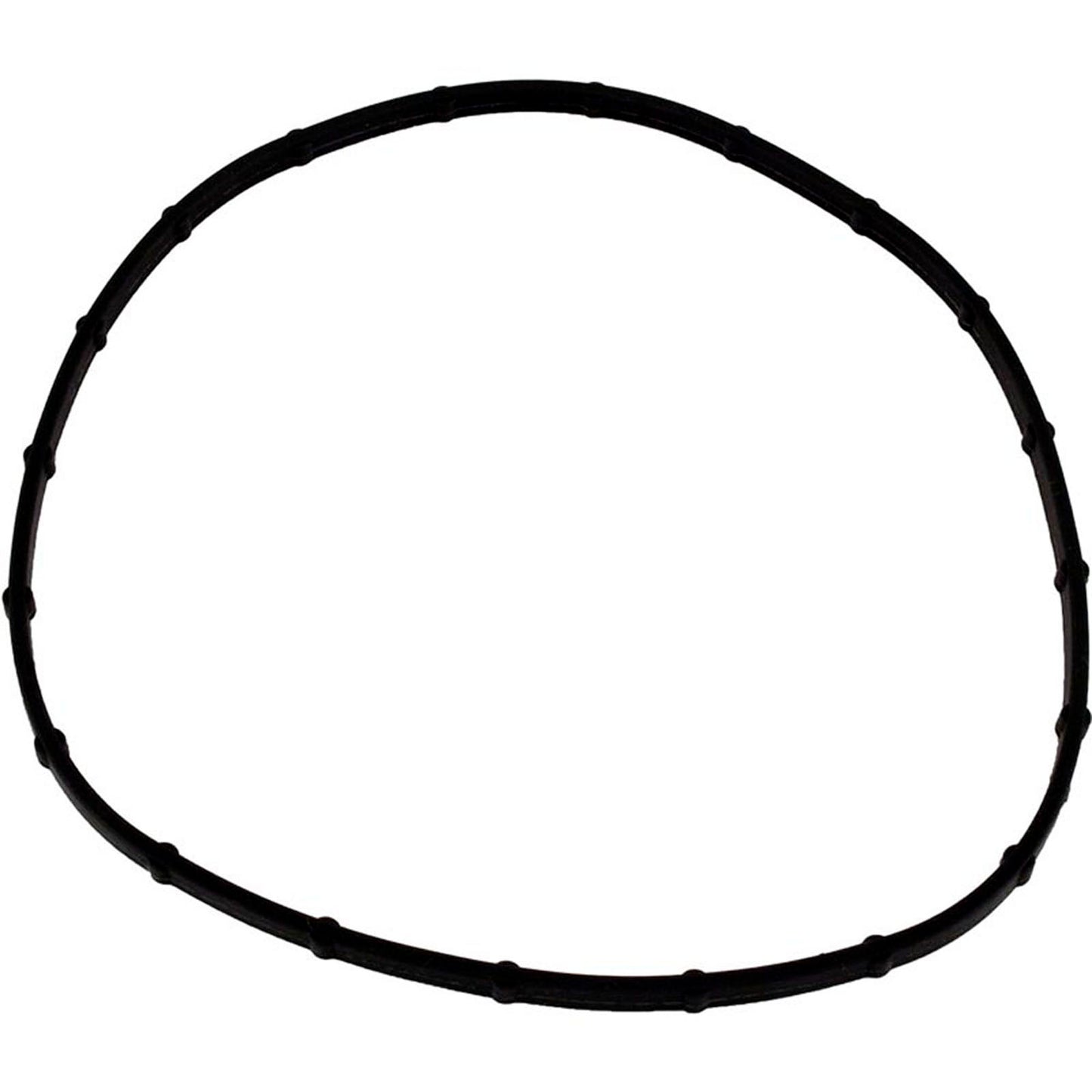 Light Lens Seal, Sta Rite, Sunsaver, Post-1999