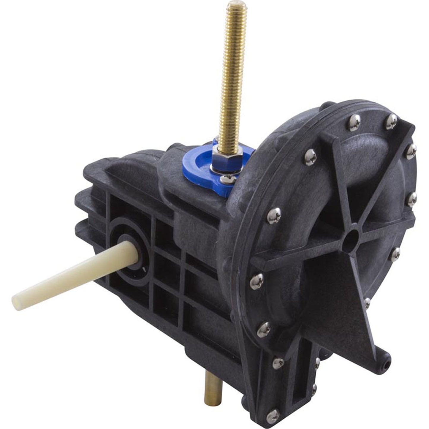 Internal Motor, Pentair Arneson II, with Gears