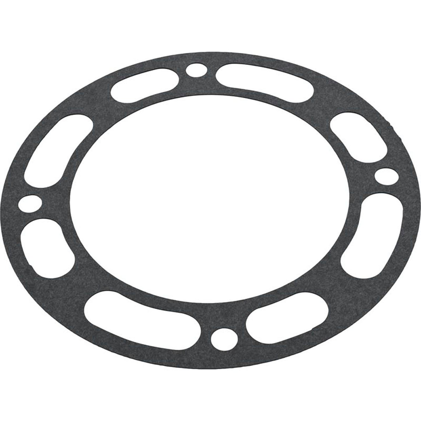 Gasket, Pentair Well & Irrigation Pump