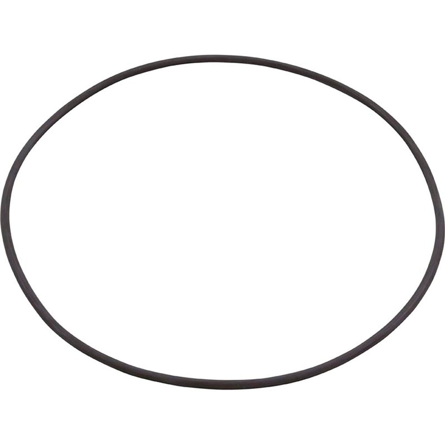 O-Ring, Buna-N, Astral, 2500 Terra & Cel Filters