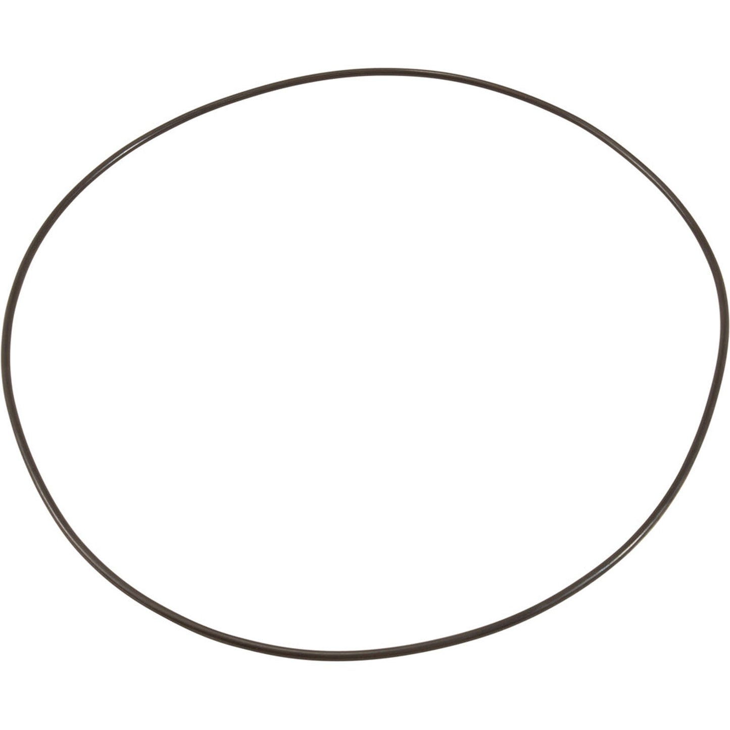 O-Ring, Buna-N, Astral Sprint 2000 US-1 Pump, Motor Clamp