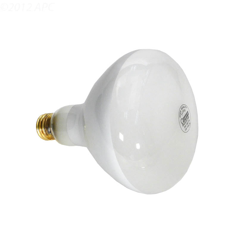APC 300W 120V R40 Flood Pool Light Bulb, Medium Base (APC120300M)