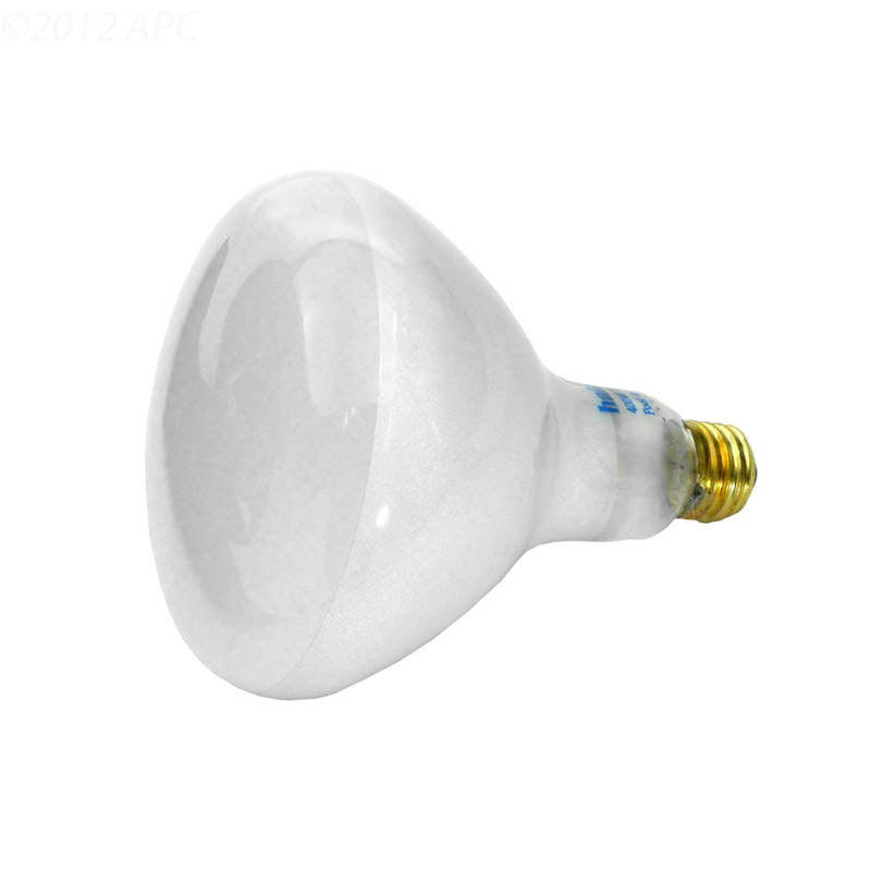 APC 400W 120V R40 Flood Pool Light Bulb, Medium Base (APC120400M)