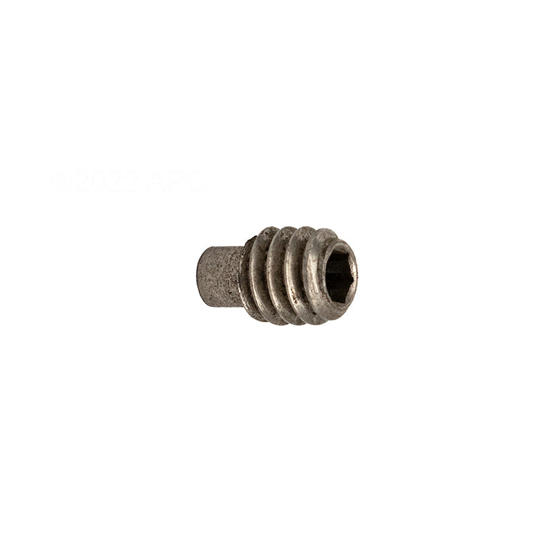 APC Pump Shaft Extension Set Screw, 1/4-20 x 3/8 in, Stainless (APC152)