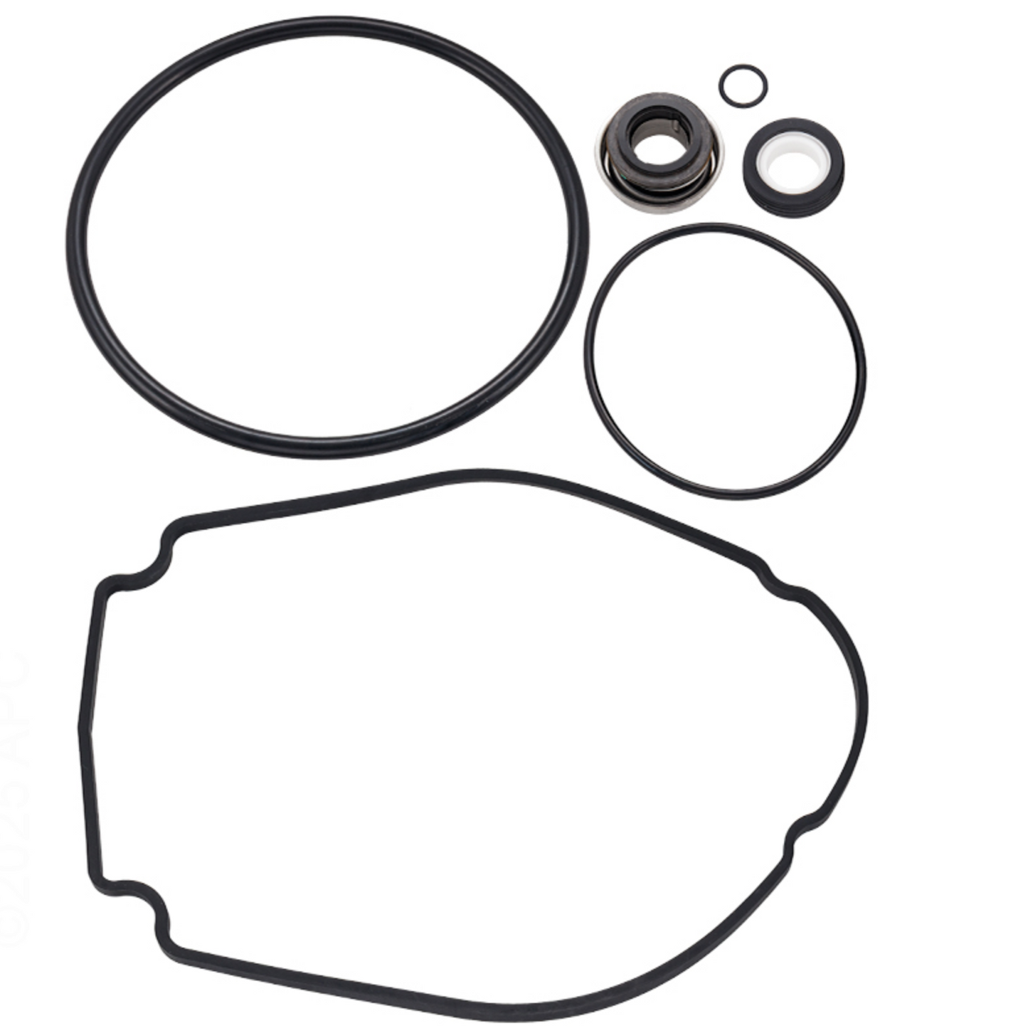Waterway Champion SMF56 Pump Repair Kit (APCK1201)