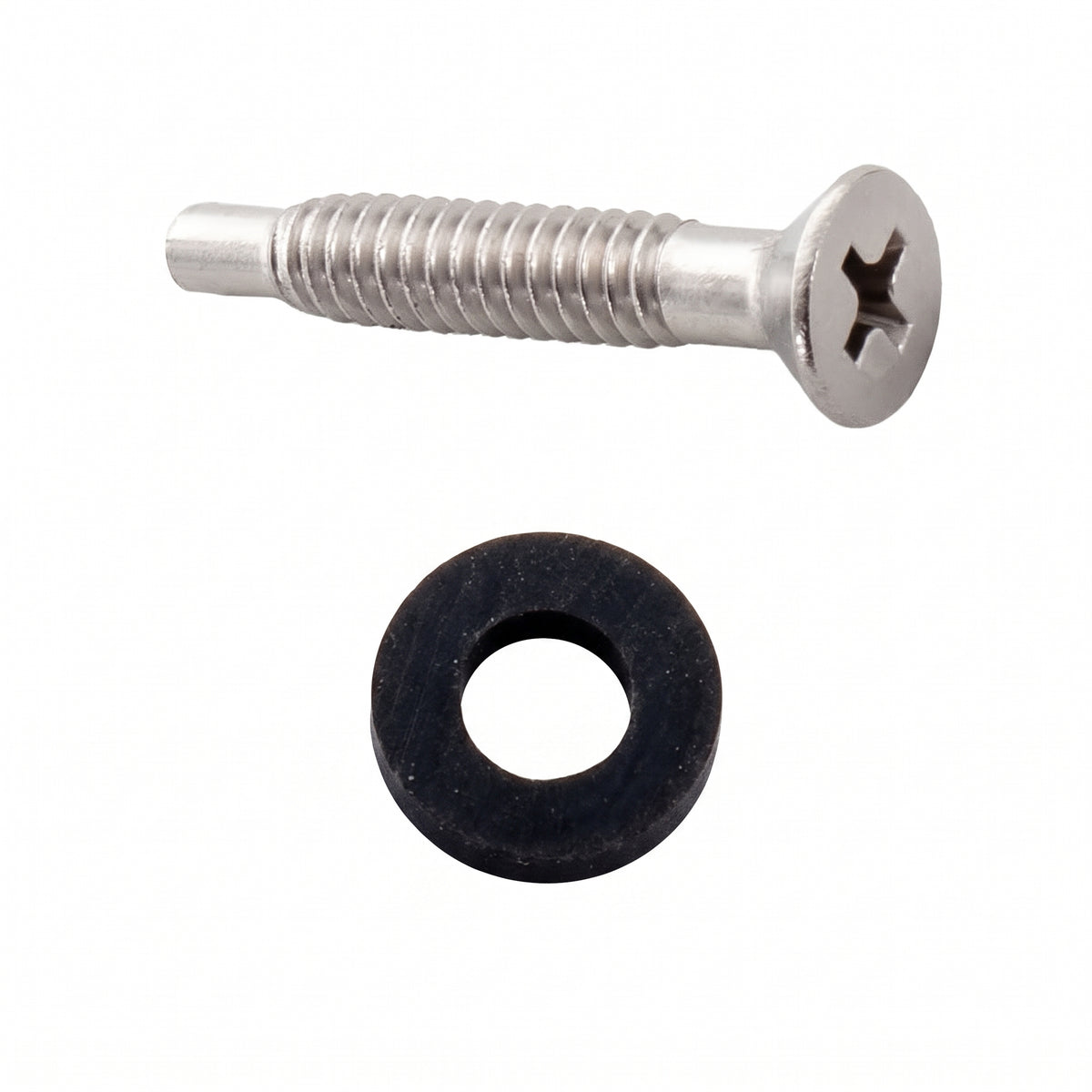 Pentair 619355Z Stainless Steel Pilot Screw with Captive Gum Washer (Single), Pool Light