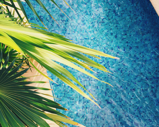 When Is the Best Time to Open Your Swimming Pool?