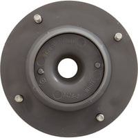 Eyeball Inlet, Pentair, 1-1/4", Gunite, Gray