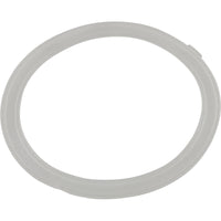 Gasket, Waterway Poly Jet Wall Fitting, Thin