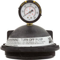Tank Lid Kit, Pentair PacFab Triton II, 6" thd, Black