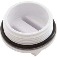 Drain Plug, Hayward, with O-Ring