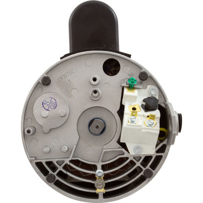 Motor Century, 1,0 hp, 115 V/208-230 V, 1 velocidad, 56 Yfr, SQFL