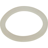 Gasket, Waterway Poly Jet Wall Fitting, Thick