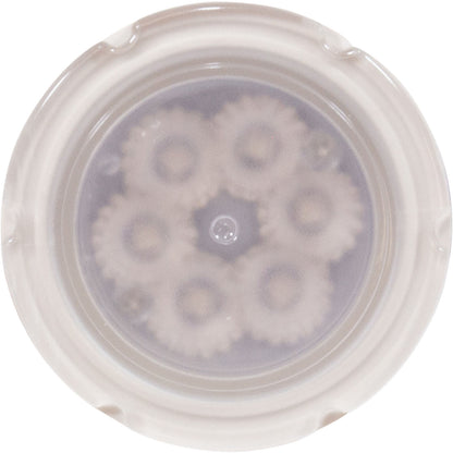 PAL Treo Mini, MultiColor Nicheless Light, 150ft Cable/Plug