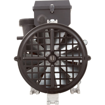 Pump, BWG Vico Ultimax GE, 3.0hp, 230v, 2"mbt, OEM