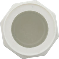 Plug, Lasco, 1/2" Spigot