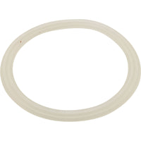 Junta plana para Waterway Power Storm Jet