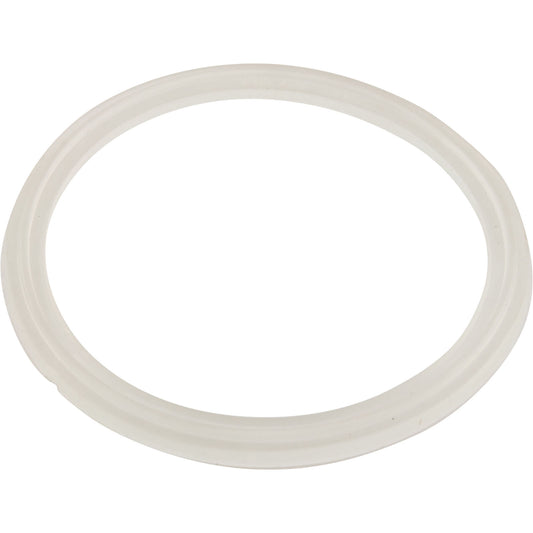 Gasket, O-Ring, Waterway Mini Storm