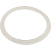 Gasket, O-Ring, Waterway Mini Storm