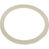Gasket, Flat, Waterway Poly Storm Jet