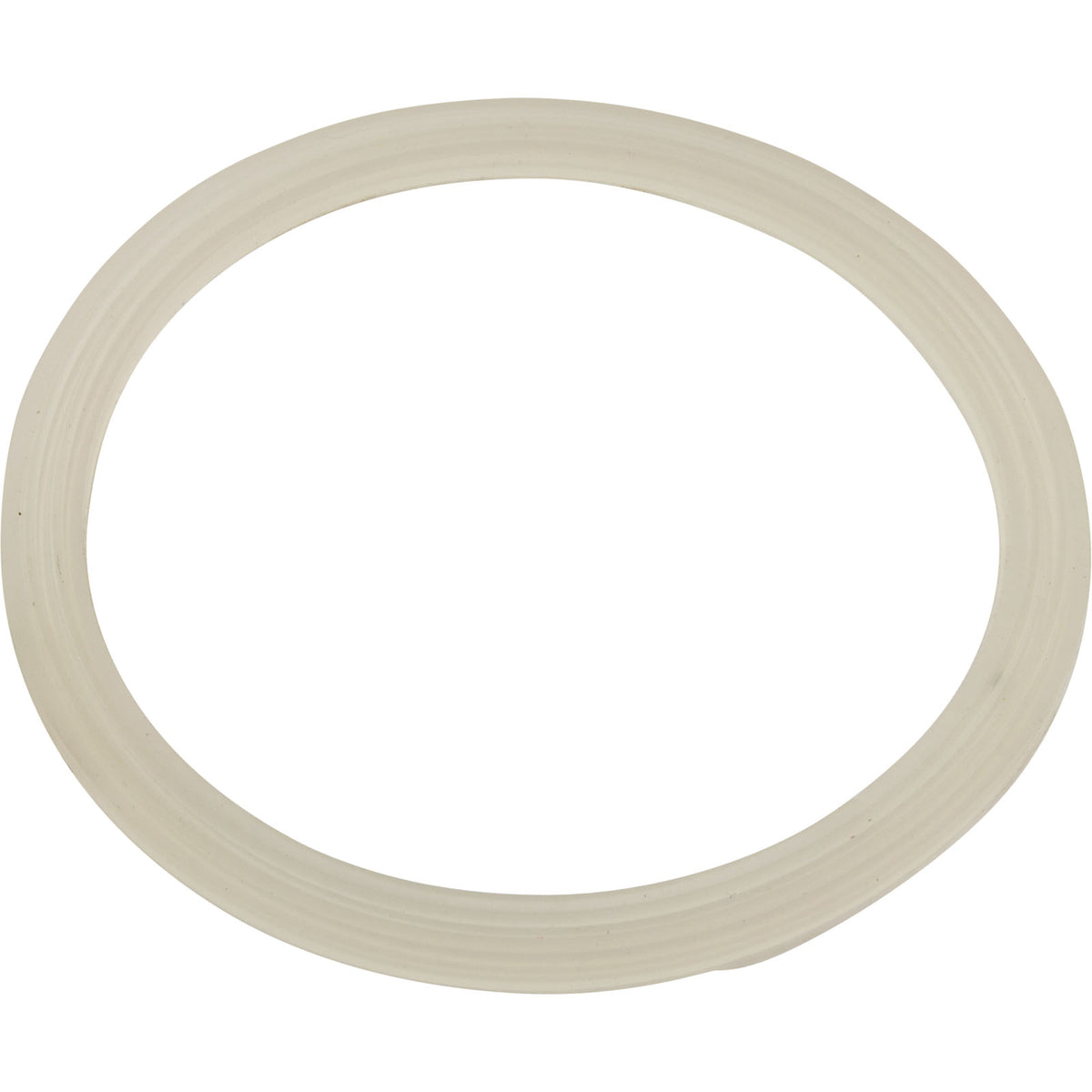 Gasket, Flat, Waterway Poly Storm Jet