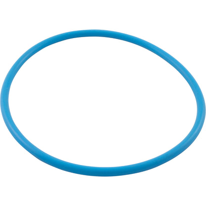 O-Ring, Waterco Chlorinator, Lid, Viton