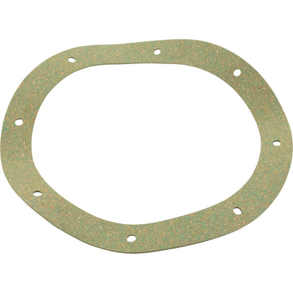 Gasket, Pentair Sta-Rite Vinyl/StarGuard Main Drain, Body