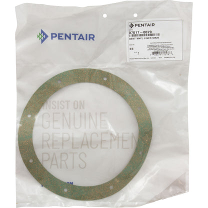 Gasket, Pentair Sta-Rite Vinyl/StarGuard Main Drain, Body