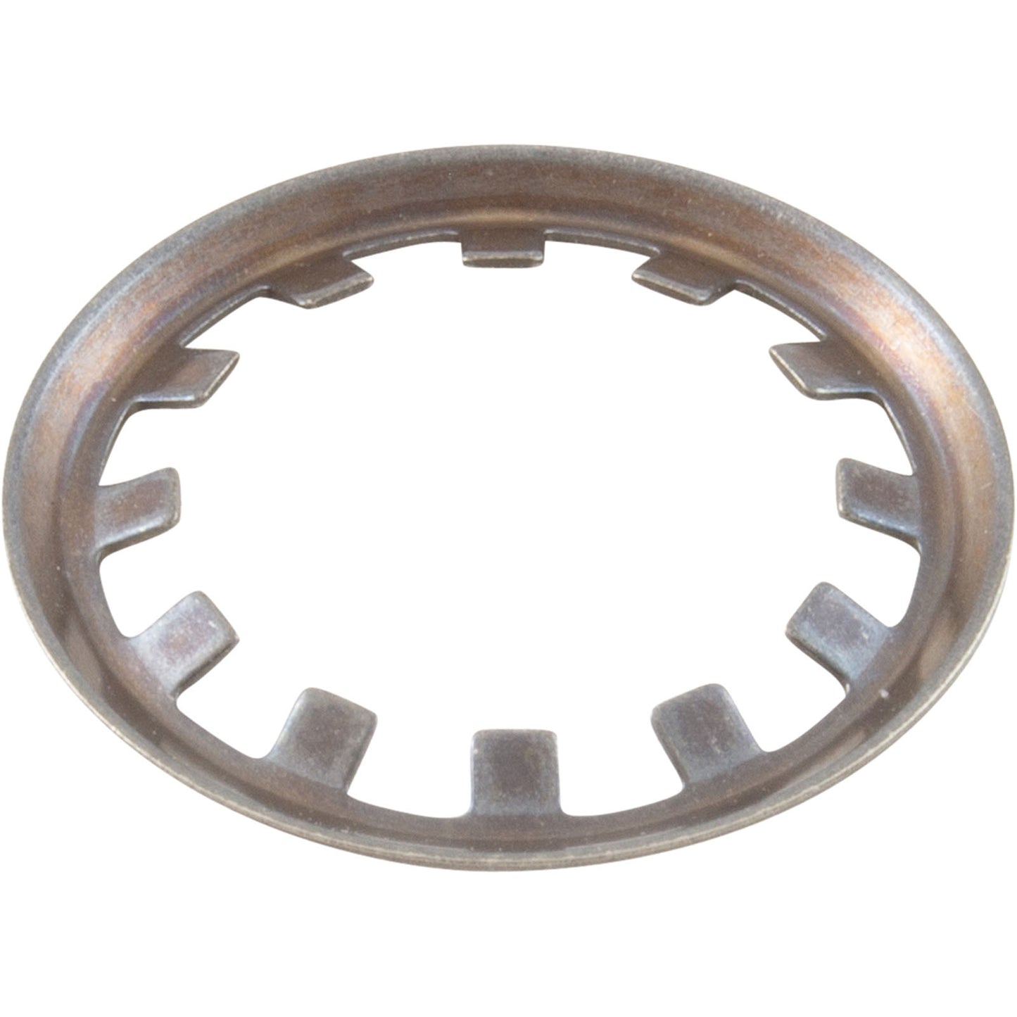 Retaining Ring, Pentair Sta-Rite System 3, Clamp