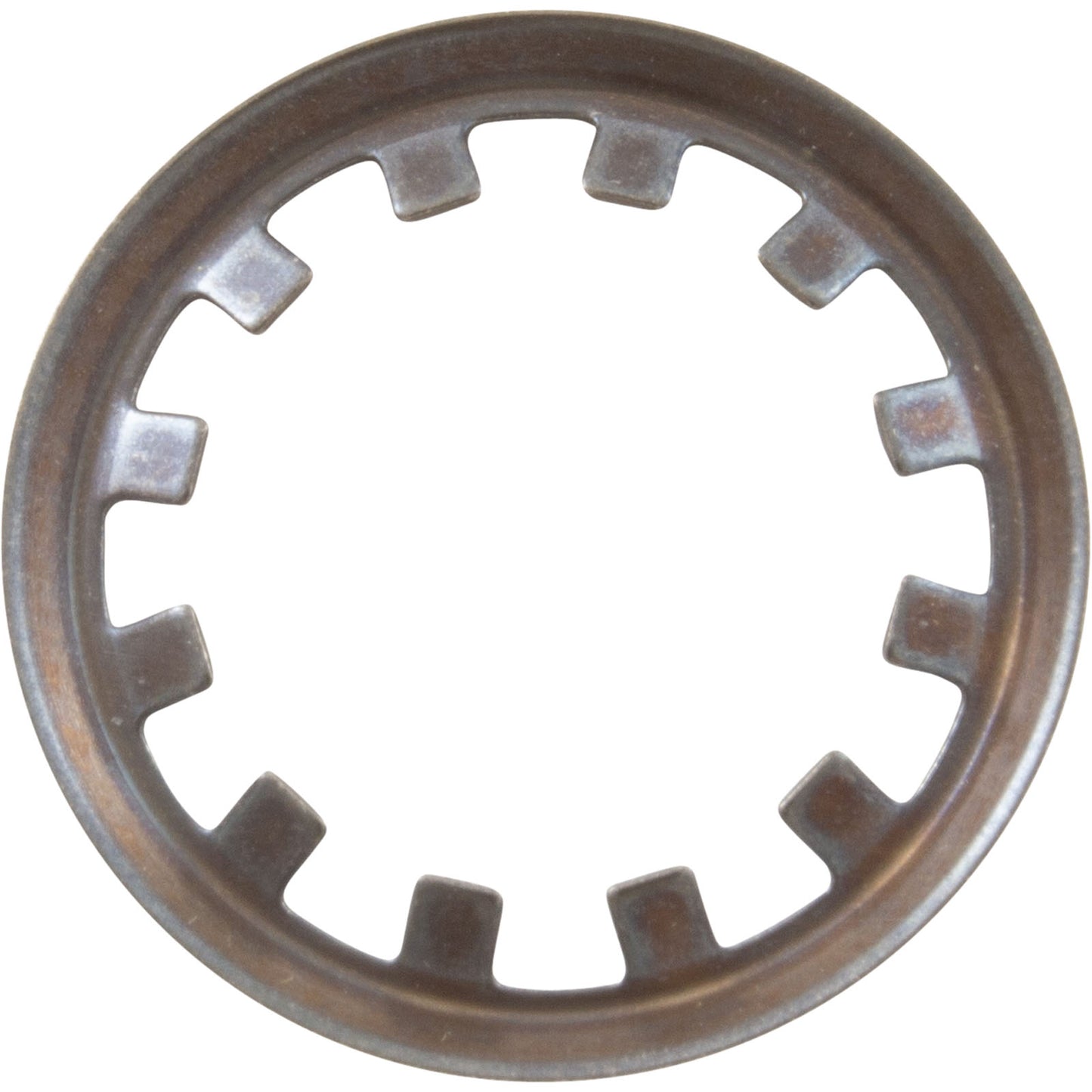 Retaining Ring, Pentair Sta-Rite System 3, Clamp