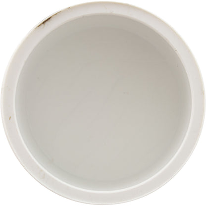 Plug, Lasco, 2" Spigot