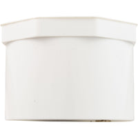 Plug, Lasco, 2" Spigot
