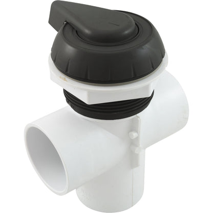 Diverter Valve, WW, 2", 2 Port, Top Mount, Notched, Black