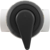 Diverter Valve, WW, 2", 2 Port, Top Mount, Notched, Black